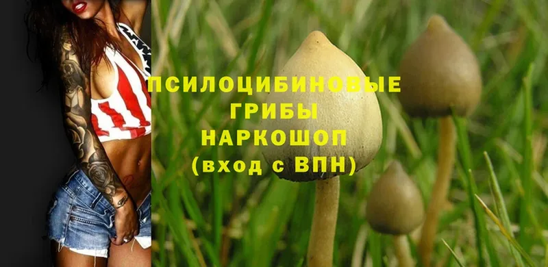 Галлюциногенные грибы Magic Shrooms Копейск